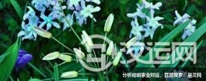 大全！招人喜欢的网红火锅店名