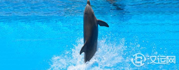 精选：女孩子取名字文雅有寓意