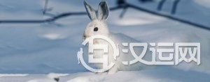 清新飘逸、神采奕奕的男孩名字