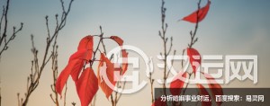 有福气两个字，女孩起什么名字