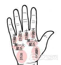 不同形态的掌丘代表的财运如何