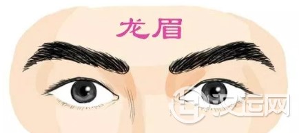 相术大全:四种眉相,富贵惊人