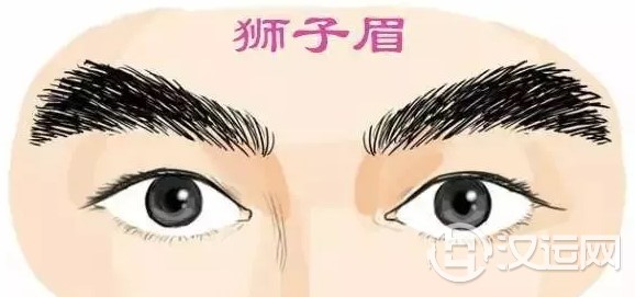 相术大全:四种眉相,富贵惊人
