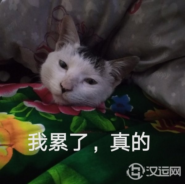 12星座讨厌自己什么？自我怀疑