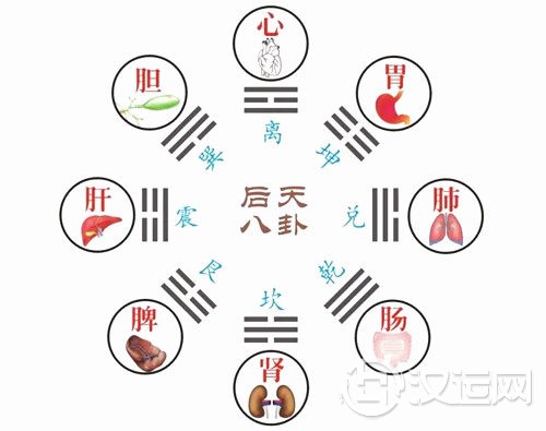 六爻如何取象
