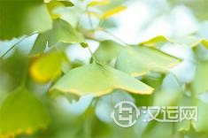 虎年出生的男孩，想起好名字赶紧看过来