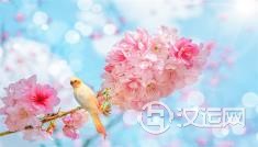 最善于伪装的星座最聪明，除了天秤座还有其他星座吗？