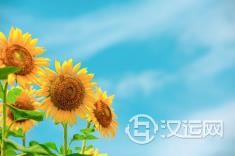 不仅气质好还非常漂亮的三大星座女！