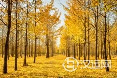 八字土旺怎么办，如何化解？