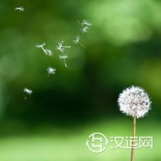 金牛座女生喜欢什么性格的男生