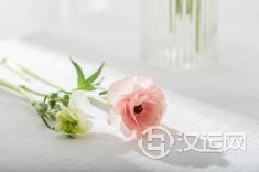 行事低调喜欢默默做事的几个星座