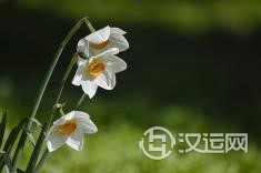 白羊座致命情感弱点大公开