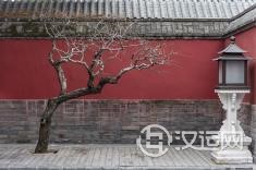 八字死代表着什么意思，又预示什么？