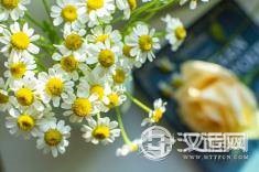 摩羯男心中理想的女伴特质
