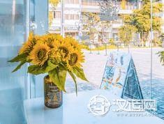 日主乙木的性格特征与命运起伏