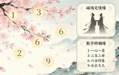 桃花号码总论 —— 磁场定情缘，数字辨姻缘