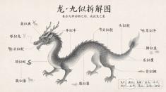 十二生肖里只有龙看不见，它到底照着什么拼出来的